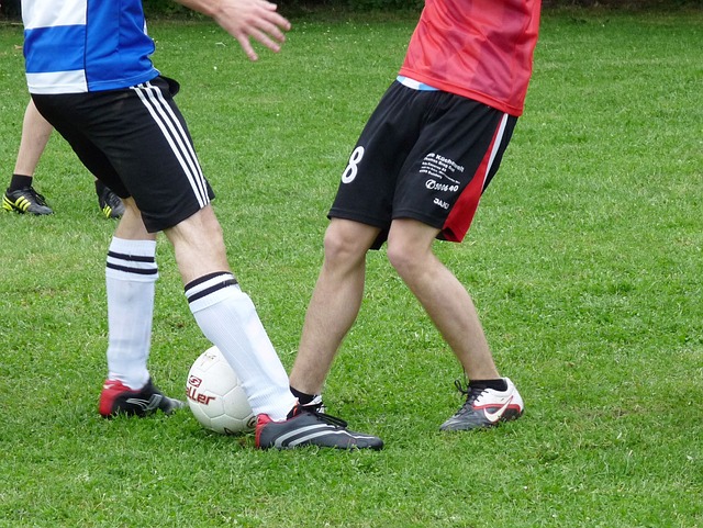 裁判偶尔的 裁判偶尔的