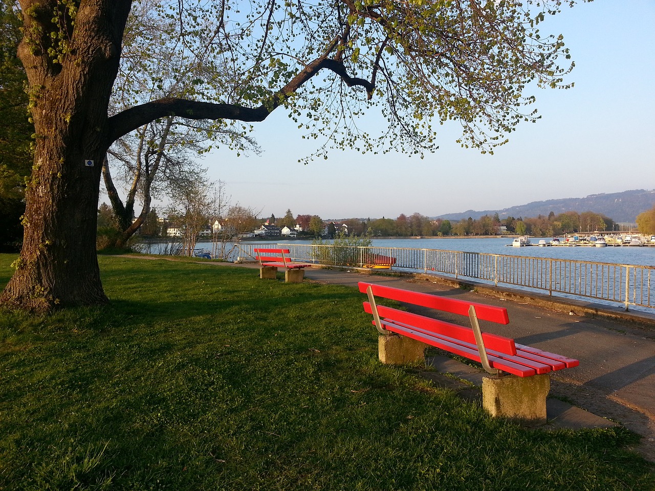 而这样的言 而这样的言