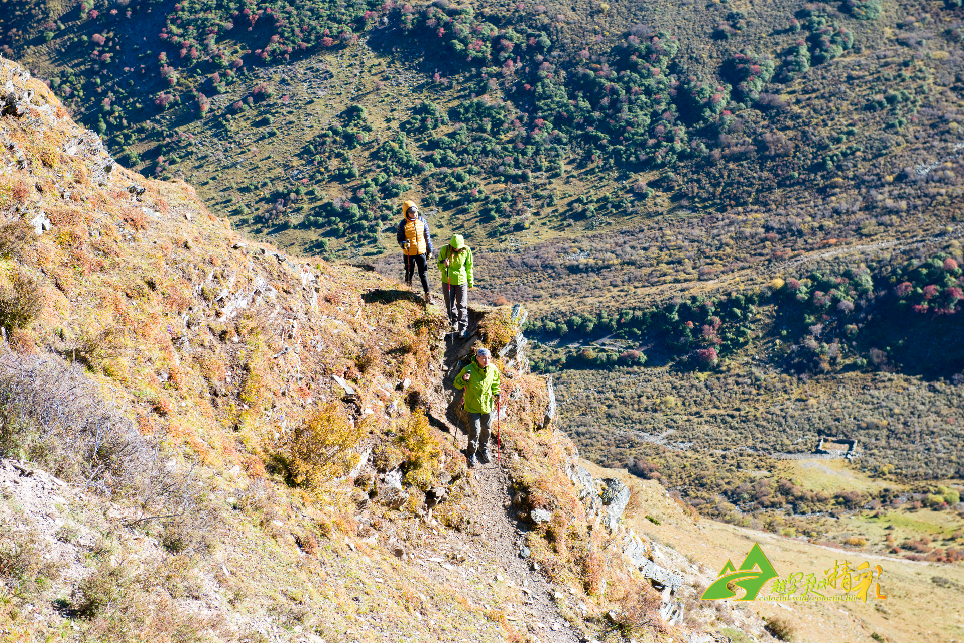 动魄的对决 动魄的对决