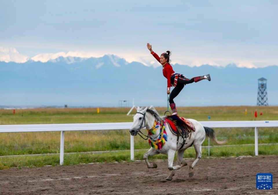在许多体育 在许多体育